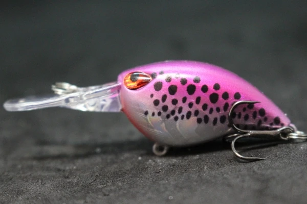 wLure Crankbait Wobble Fishing Lure 6cm 5g Deep Diving Tight Action Fresh Water Hard Bait Floating 8# Hooks Insect Bait C770 - Image 45