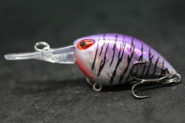 wLure Crankbait Wobble Fishing Lure 6cm 5g Deep Diving Tight Action Fresh Water Hard Bait Floating 8# Hooks Insect Bait C770 - Image 50